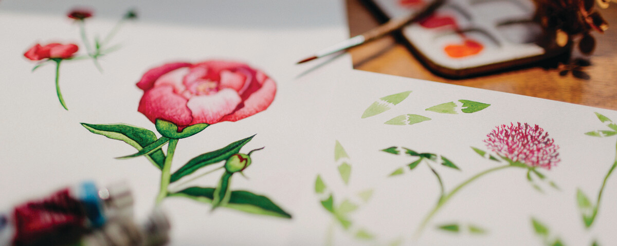 Leanne Shunney Illustration