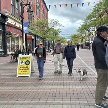 Taking a stroll