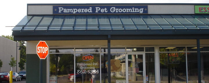 Pet grooming store hotsell