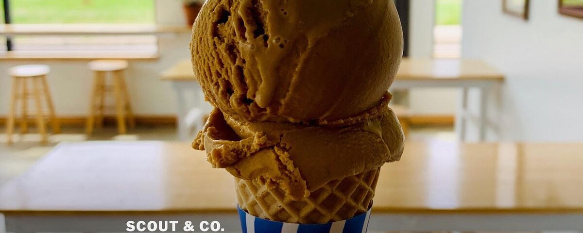 Scout & Co Old North End